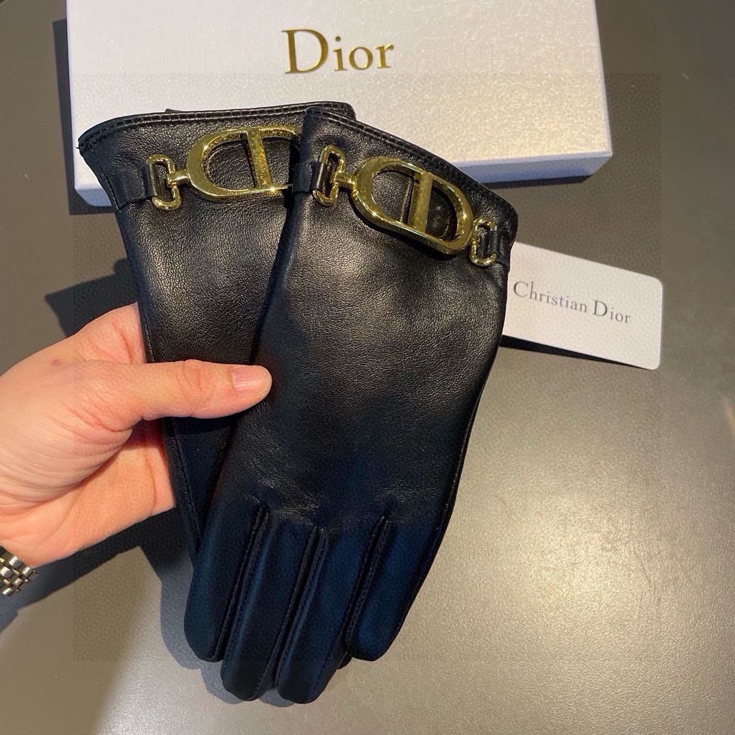 Christian Dior Gloves